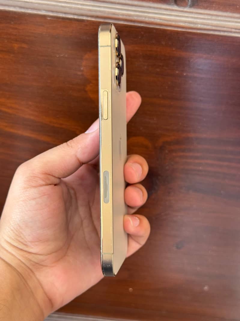 Apple iPhone 13 Pro Max 5