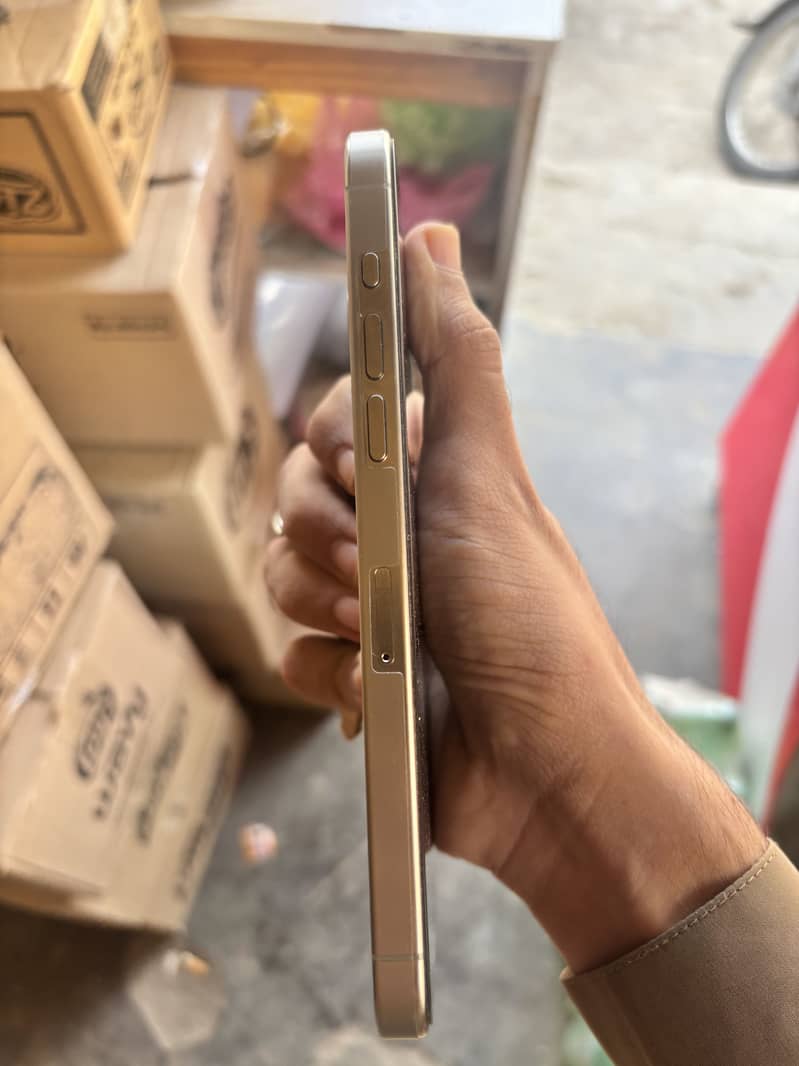 Apple iPhone 15 Pro Max 1