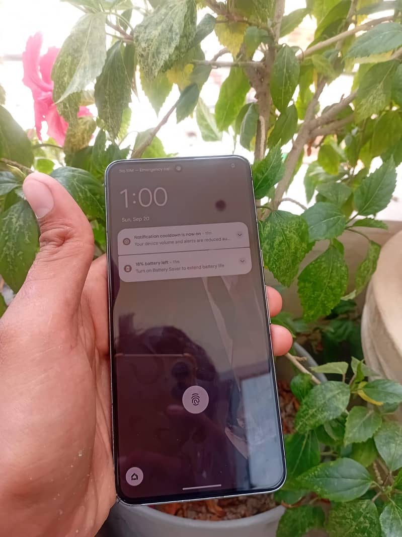 Google Pixel 8 Pro 5