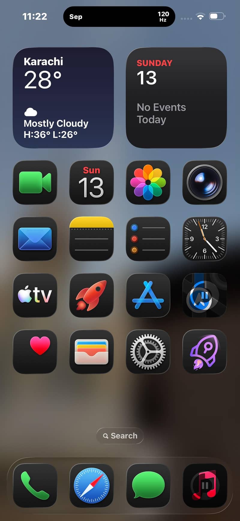Apple iPhone 14 Pro Max Sim Glitch) ​ 4