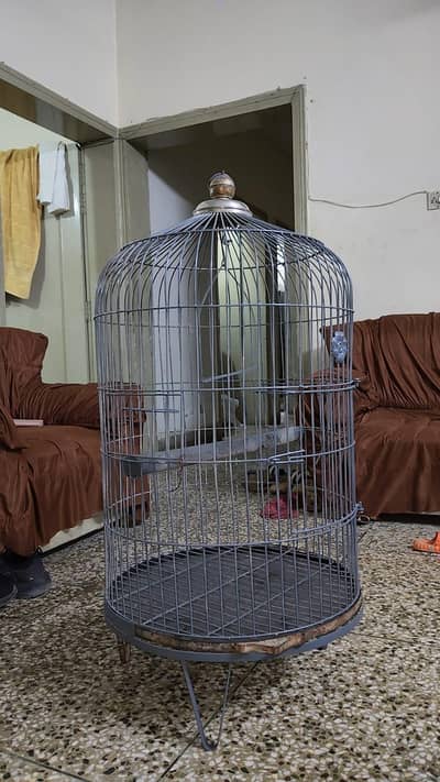 Raw and Grey Parrot Cage