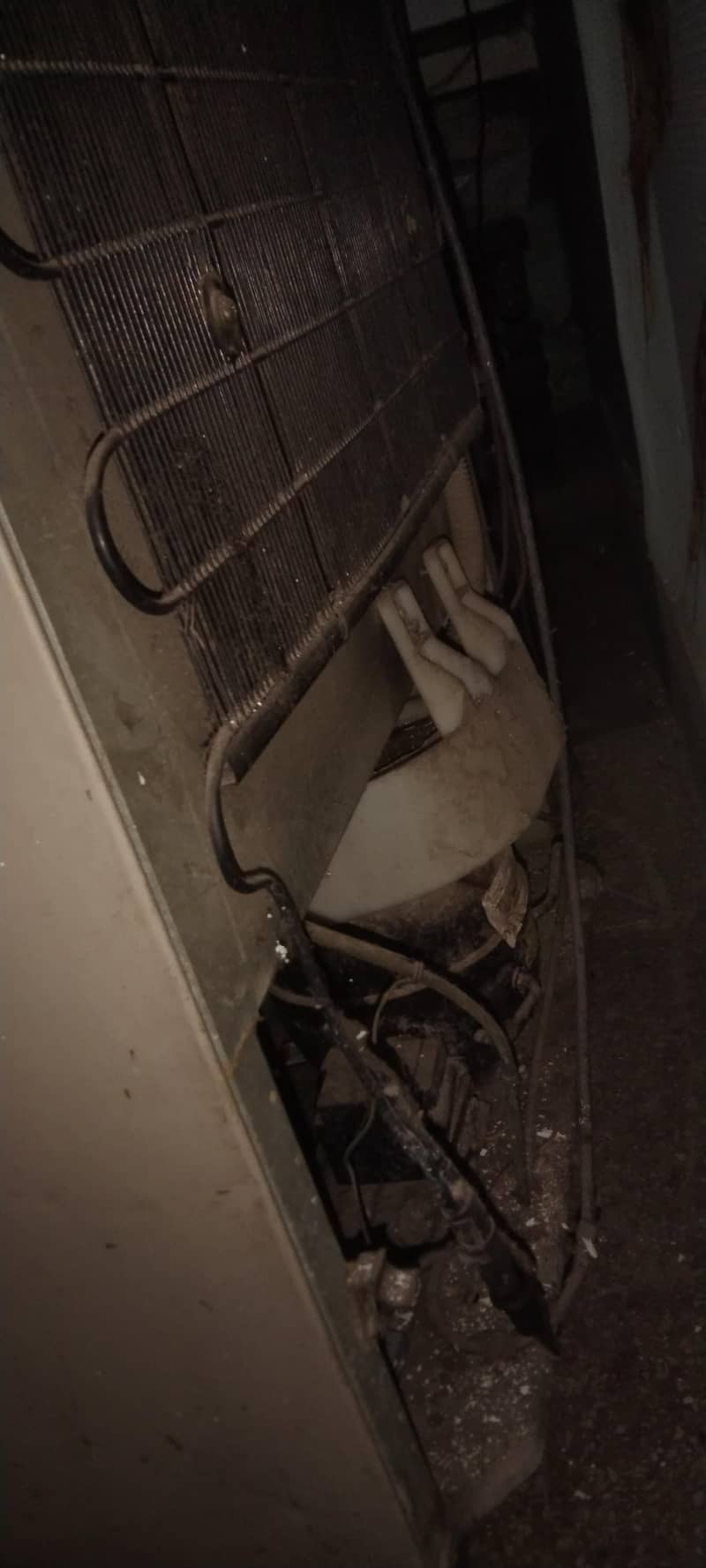 refrigerator 3