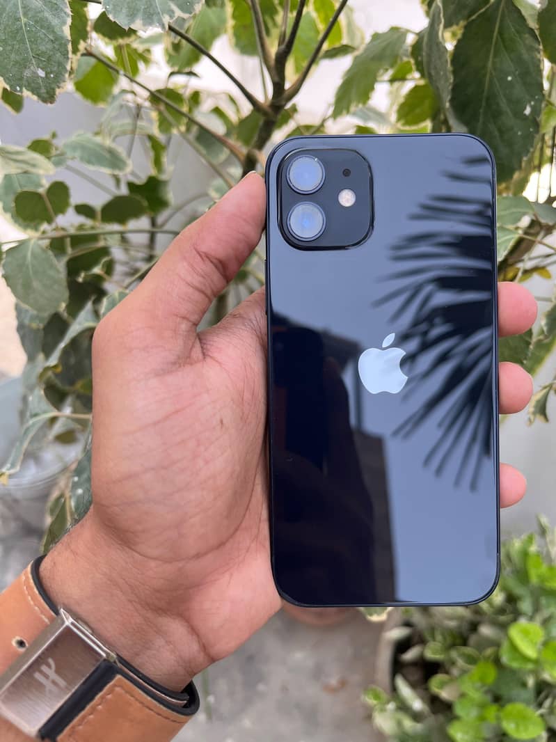 Apple iPhone 12 1