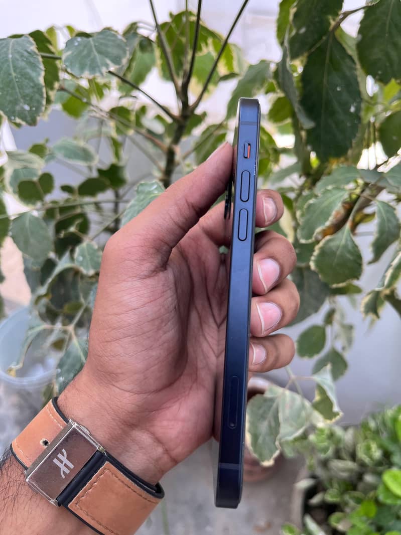 Apple iPhone 12 3