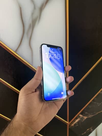 Apple iPhone 12 Pro