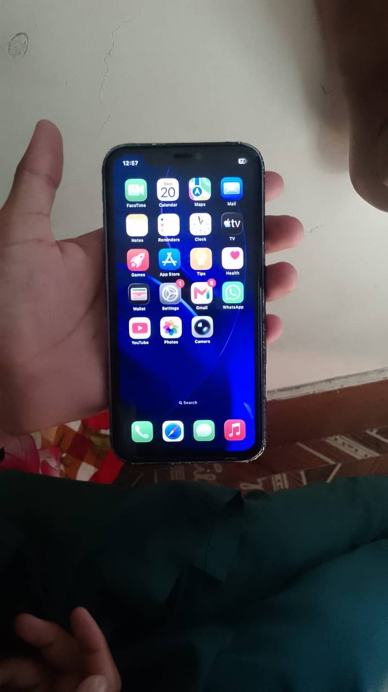 Apple iPhone 11 0