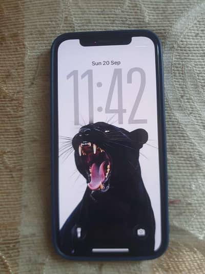 Iphone 12 non PTA factory unlock WaterPack.