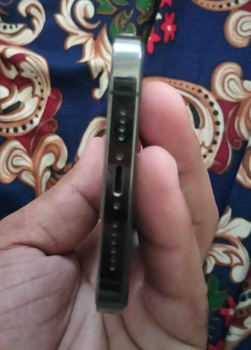 Apple iPhone 13 Pro Max 1