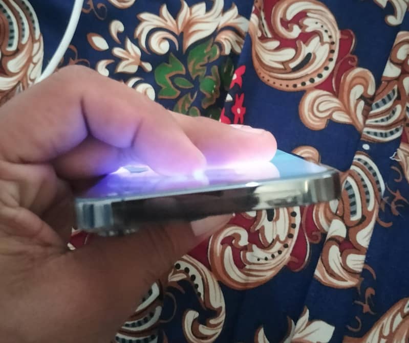 Apple iPhone 13 Pro Max 2