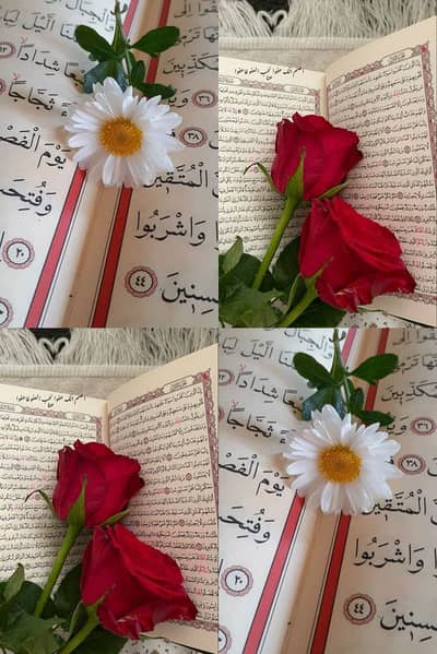 Usman Usman