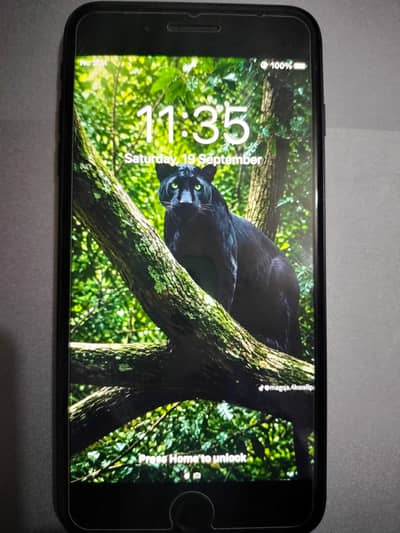 Apple iPhone 7 Plus