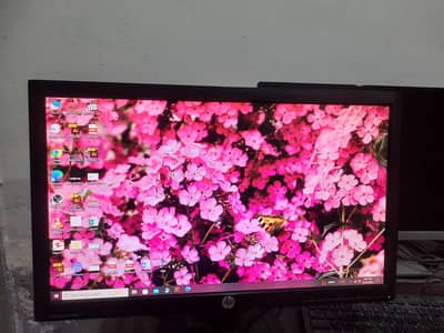 HP 20 inch P201 LCD