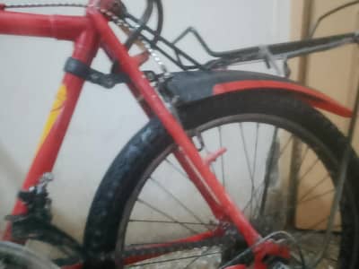 phoenix bicycle