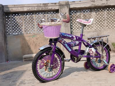 frozen Purple biCycle