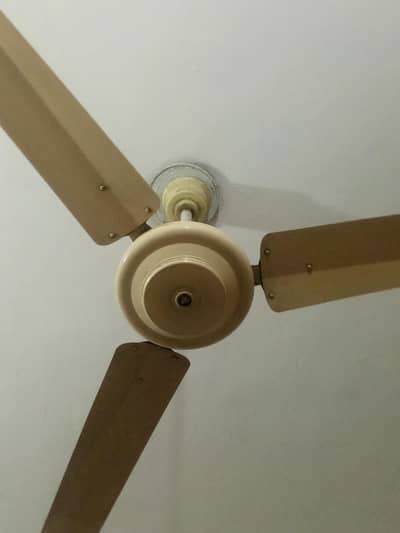 Ceiling fan 56" available for sale.  03464471289
