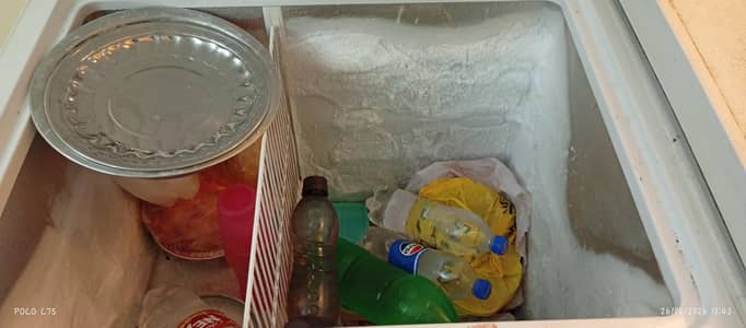 waves triplet deep freezer