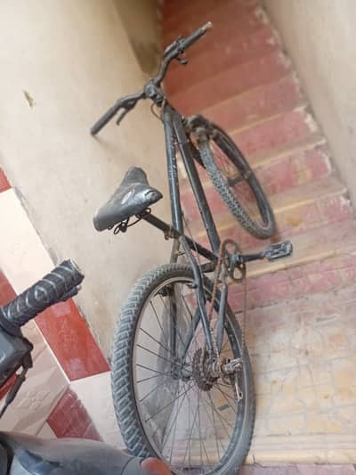 Cycle
