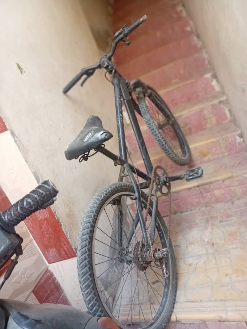 Cycle 0