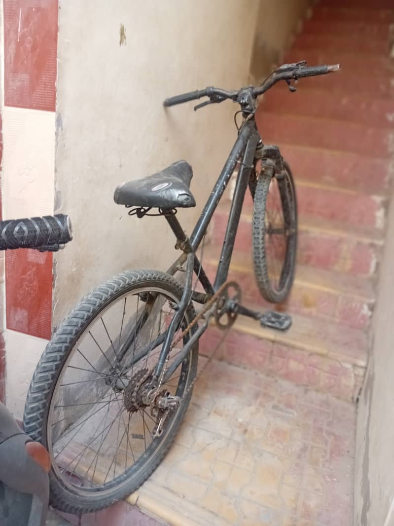 Cycle 2