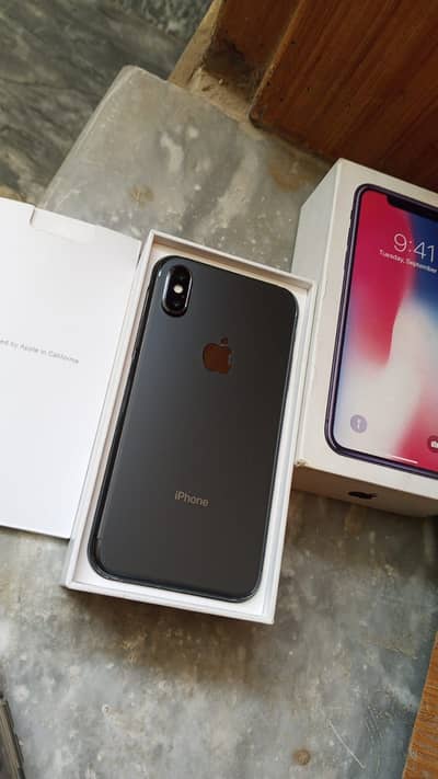 Apple iPhone X