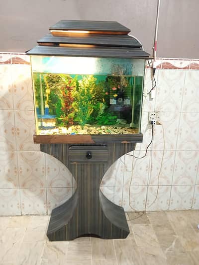 Complete aquarium setup with fishes for sale