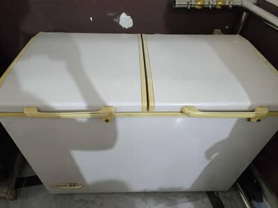 Doubel Door D freezer Urgently sell need cash