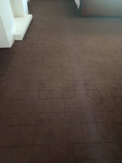 Full house wall to wall carpet
