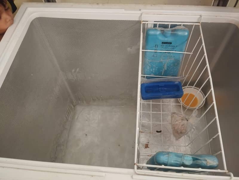 freezer 1