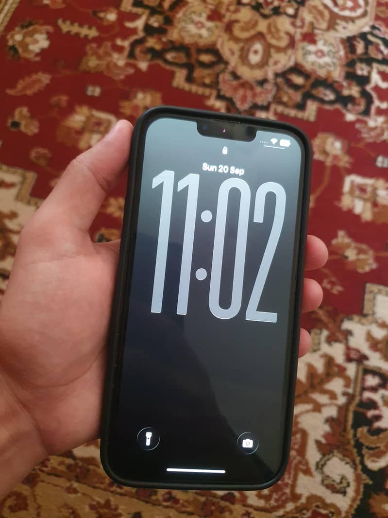 Apple iPhone 13 Pro Max 1
