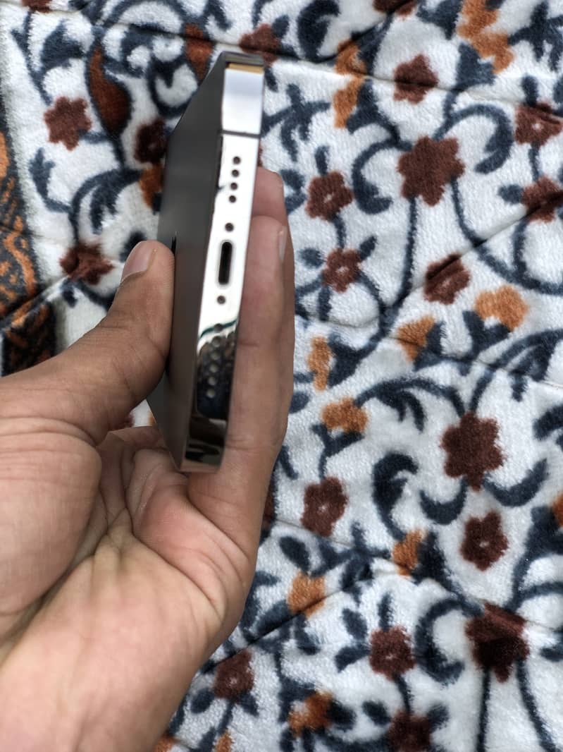 Apple iPhone 13 Pro Max 1