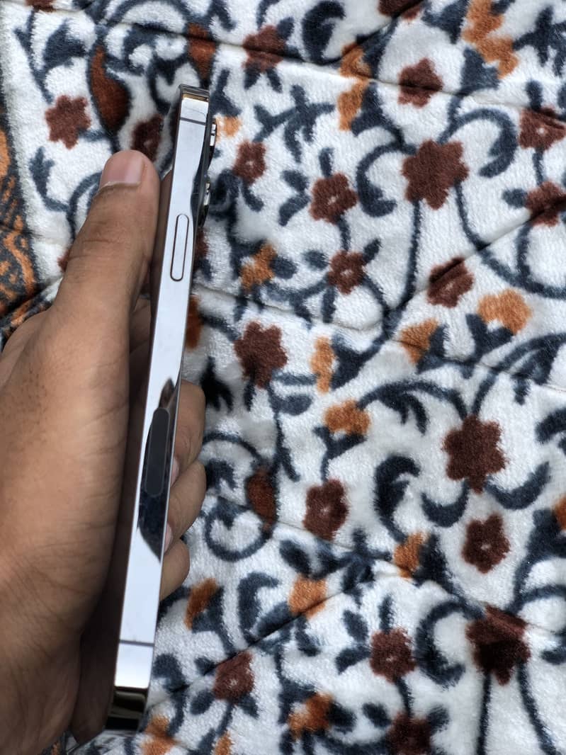 Apple iPhone 13 Pro Max 2