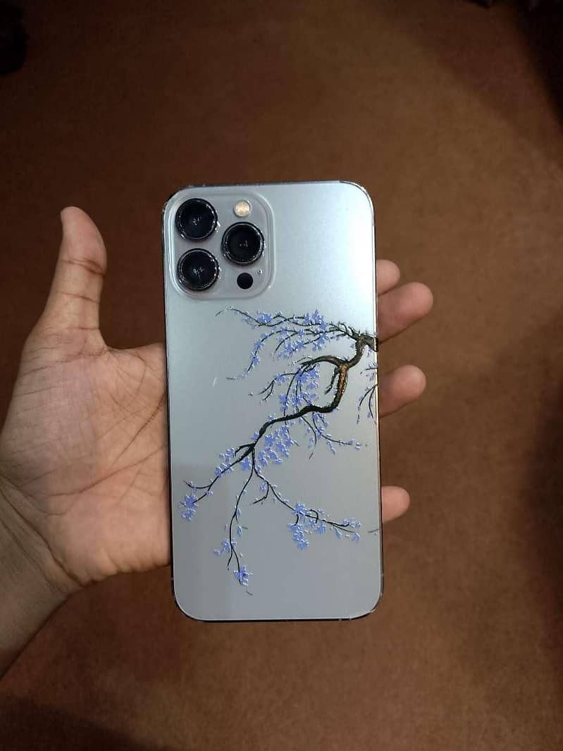 Apple iPhone 13 Pro Max 1