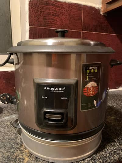 Electric Rice Cooker and Food Steamer