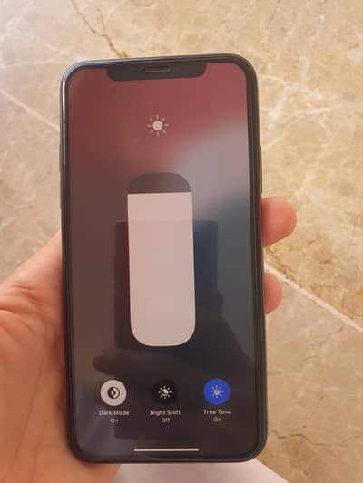 Apple iPhone XS