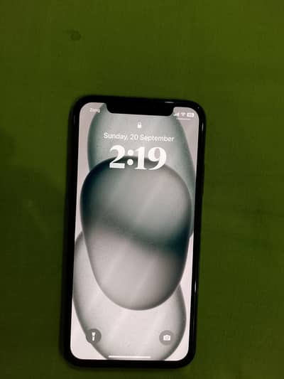 Apple iPhone X