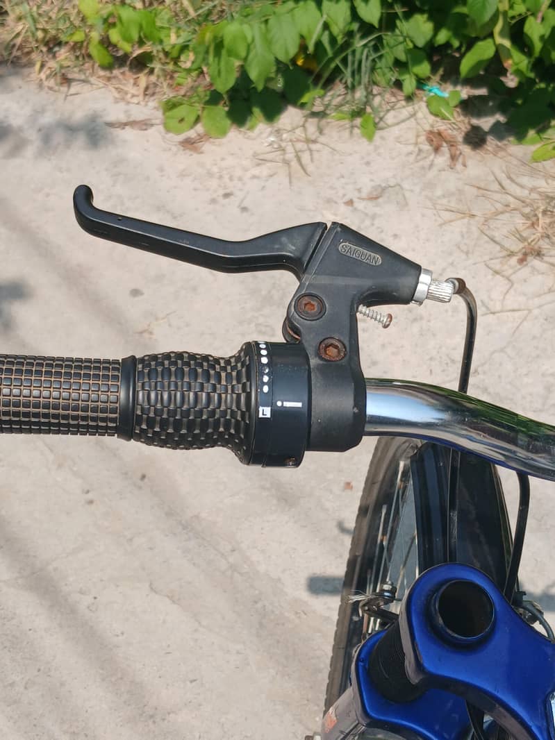Bicycle 6