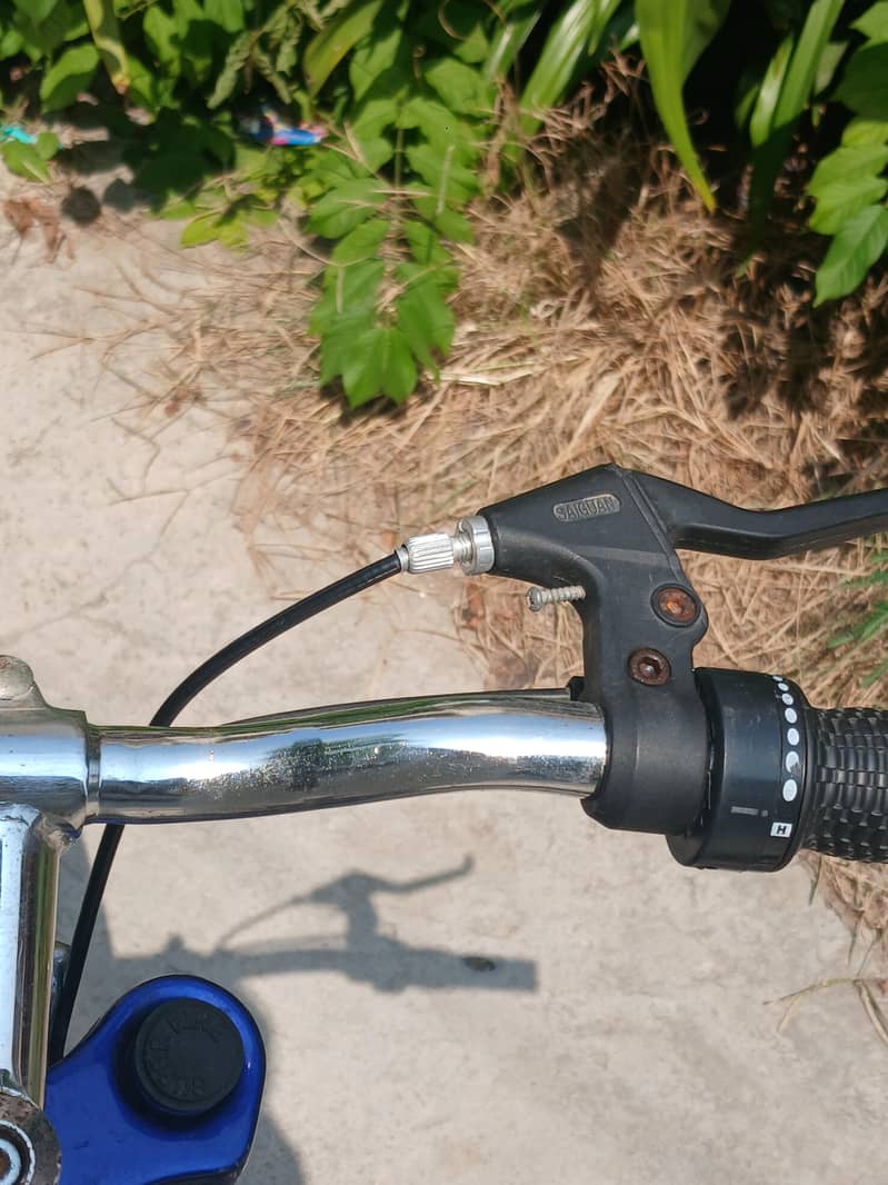 Bicycle 7