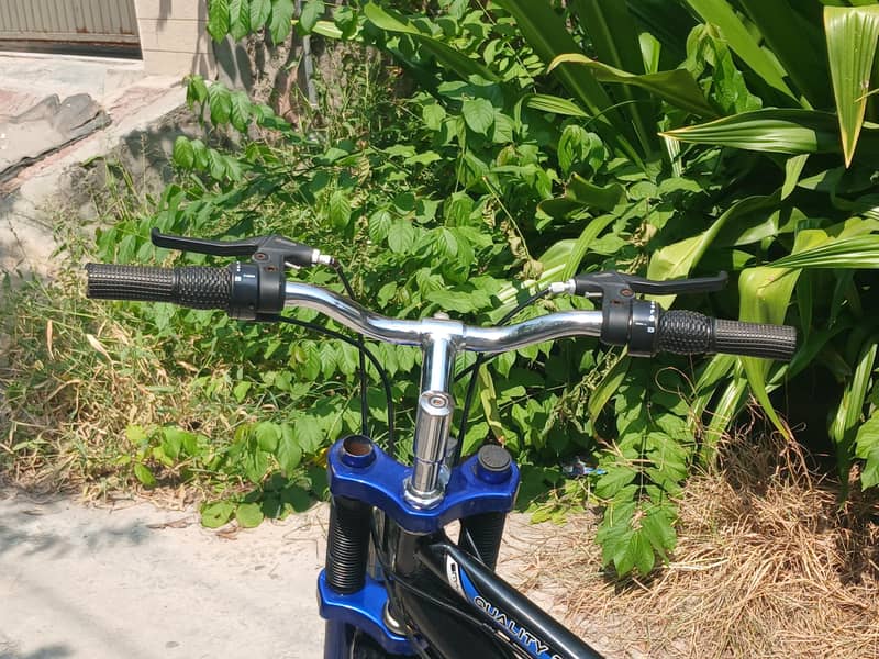 Bicycle 8