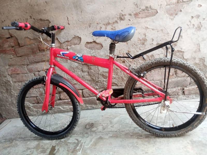 children cycle 8