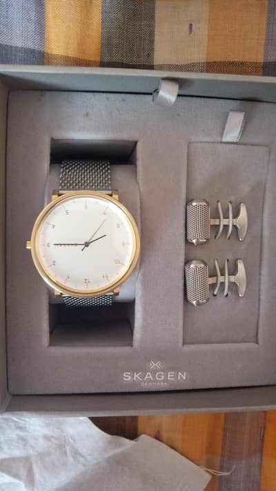 Skagen watch