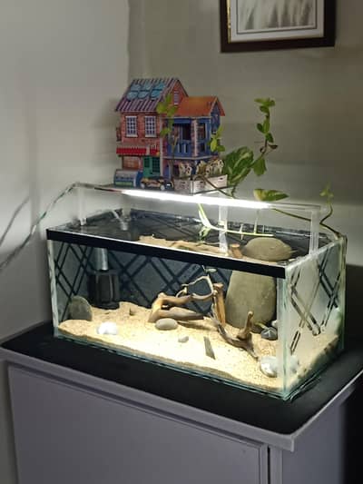 aquarium for sale