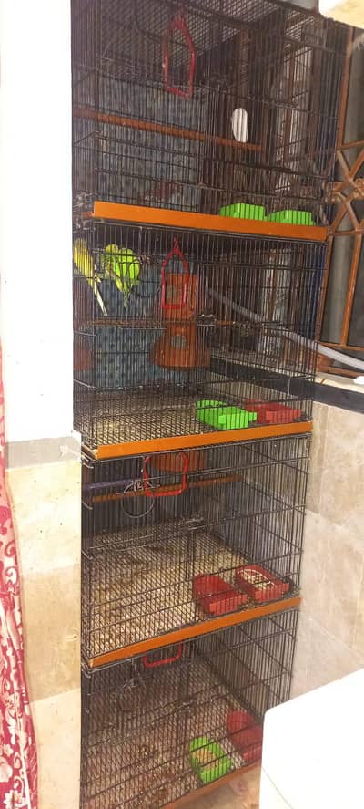 Zarar ka cage h 2 by 2 size h or 4 khane wala or fording h