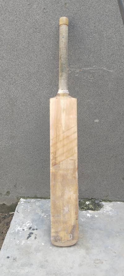 cricket bat for sell