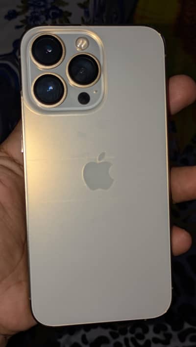 Apple iPhone 13 Pro