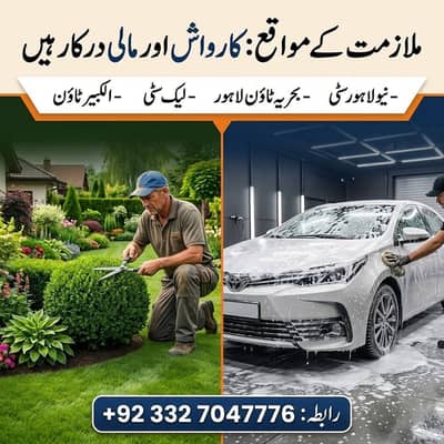 professional car wash & Gardener urgent required