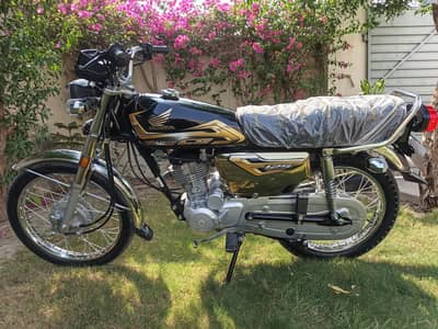Honda 125 Gold