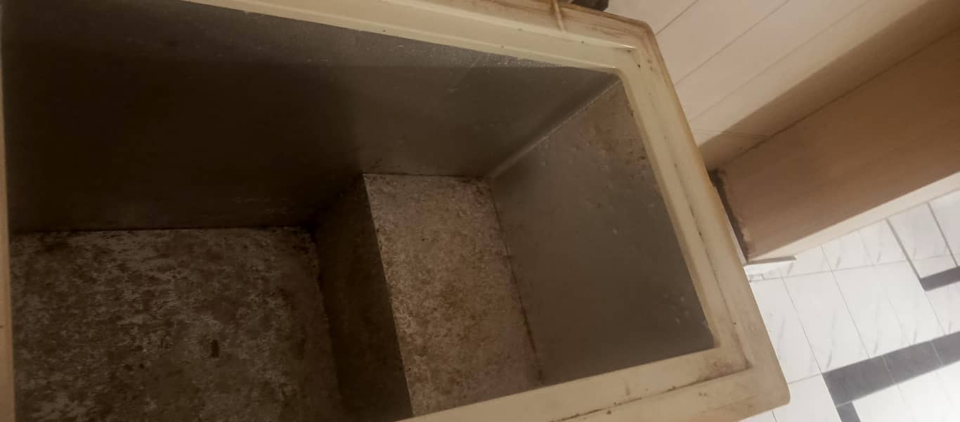 freezer 1
