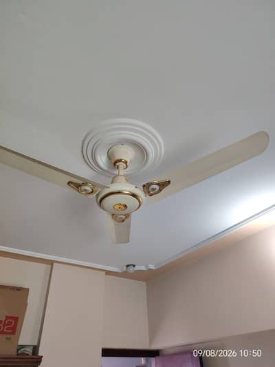 Pak Fan ceiling fan 75watt copper winding for sell