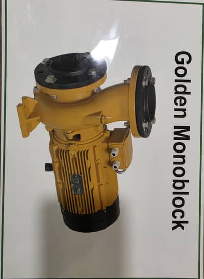 GOLDEN dynamics monoblock