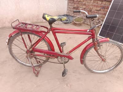 best cikle bachon k liye